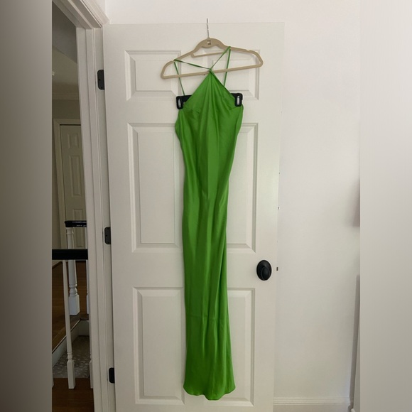DANNIJO Kelly Green Halter Maxi Dress - Picture 4 of 8